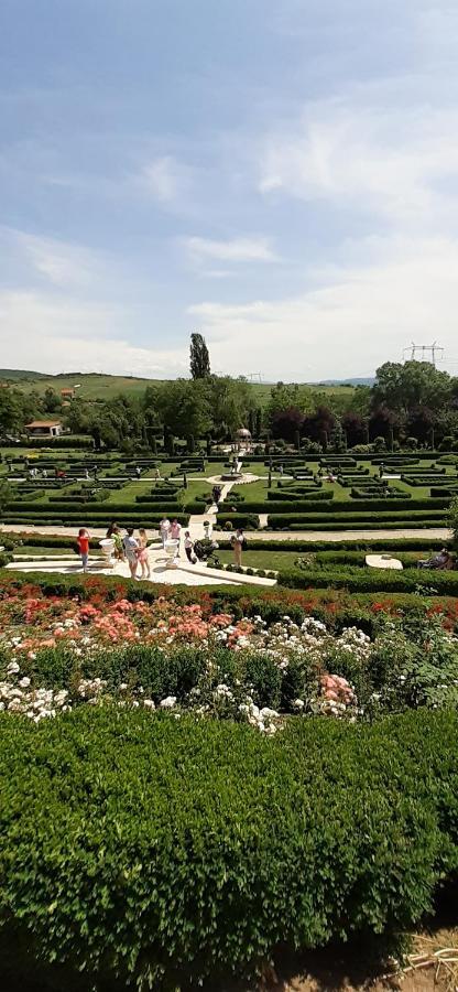 Pensiunea Sura Orăştie Extérieur photo