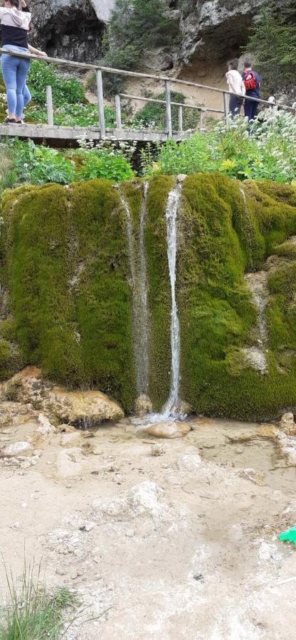 Pensiunea Sura Orăştie Extérieur photo